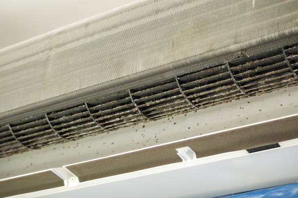Best Best Air Duct Cleaning Company  in Laureldale, PA